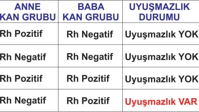 Evlilikte Kan Uyuşmazlığı ve Sağlık: Detaylar Haberimizde!