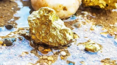 Surinam'da Kanadalı Şirket Tarafından Keşfedilen Değerli Altın Yatağı Heyecan Yaratıyor!