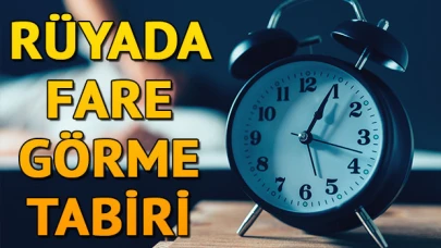 Rüyada fare görmek ne anlama gelir? Rüyada siyah, beyaz fare görmek ve fare ısırması tabiri