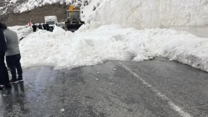 Hakkari ile Şırnak arasında meydana gelen dev çığ felaketi, ulaşımı durma noktasına getirdi!