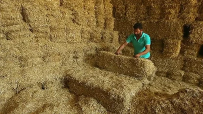 Yem fiyatlarındaki düşüş devam ediyor! Saman fiyatları yarı yarıya azaldı.