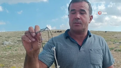 Mersinli vatandaşlar Toroslar'da şahin tuzağına düşen güvercini kurtardı