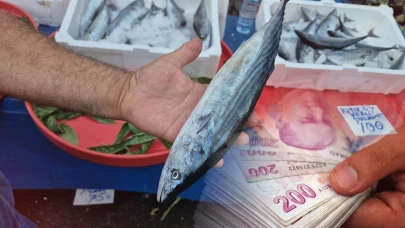 Fırtına balıkçıları durdurdu, palamut fiyatı düştü! Tanesi 75 TL'ye satılıyor
