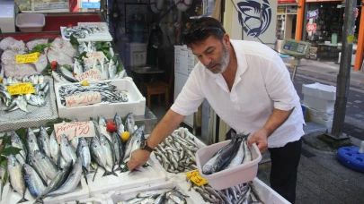 Balık fiyatları çakıldı: Hamsi 200, palamut 100 TL! Balık tezgahları doldu taştı