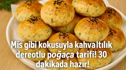 Mis gibi kokusuyla kahvaltılık dereotlu poğaça tarifi! 30 dakikada hazır oluyor