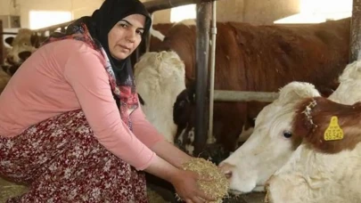 Rüyada Ahır Görmek Rüya Tabirlerine Göre Ne İfade Ediyor?