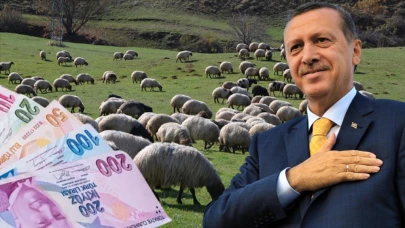 Erdoğan, Çiftçilere Müjdeler Verdi: 1 Trilyon Liralık Destek Yolda