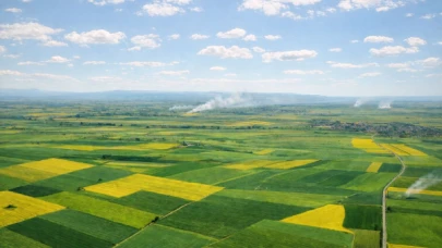 Alpu Termik Santrali Projesi Hükümet Tarafından İptal Edildi