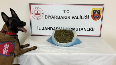 Diyarbakır Emniyeti, kaçakçılık ve uyuşturucuyla mücadele kapsamında aranan şüphelilere yönelik operasyon düzenledi