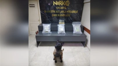 Sakarya'da polisin düzenlediği uyuşturucu operasyonunda çok sayıda şüpheli gözaltına alındı