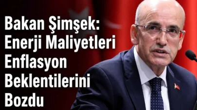 Maliye Bakanı Şimşek, Enerji Fiyatlarındaki Artışın Enflasyon Tahminlerini Olumsuz Etkiledi