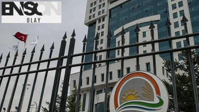 Evcil hayvan sahiplerine önemli bir duyuru: 10 Nisan'da gerçekleşecek olan önemli gelişme Kars'ta hayvanseverleri sevindirecek nitelikte!