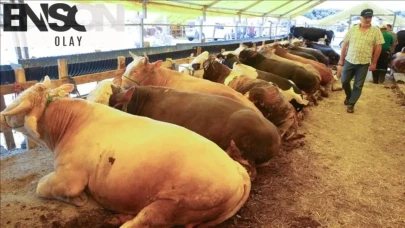 Kurban Bayramı'na az kaldı: İstanbul'daki En Büyük 4 Kurban Pazarı ve Nerede Oldukları!
