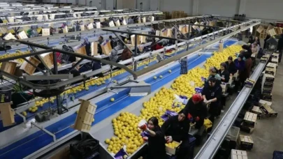 Rusya'nın tahtı sallandı! 2026'nın En İyi Yaş Meyve ve Sebze Şampiyonu Belli Oldu!