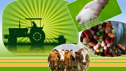Tarım ve Hayvancılık Sektörüne 1,2 Milyar TL'lik Destek Sağlanacak
