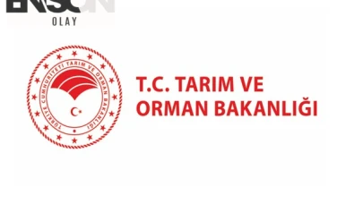 Tarım ve Orman Bakanlığı, mera alanlarının kullanımına ilişkin yeni düzenlemeler hakkında açıklamalarda bulundu