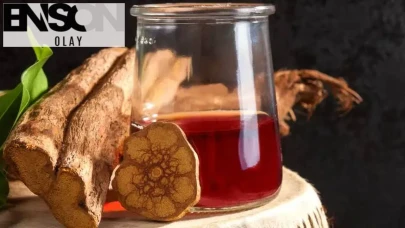 Ayahuasca çayı etkileri nedir, neden yasak, ne işe yarar, nerede yetişir?