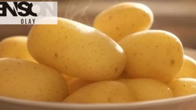 Patates tüketimi hakkında bilim dünyasından önemli uyarılar!