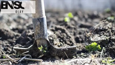 Gübre fiyatlarındaki ani artışın gıda fiyatlarını kalıcı olarak etkilemesi bekleniyor