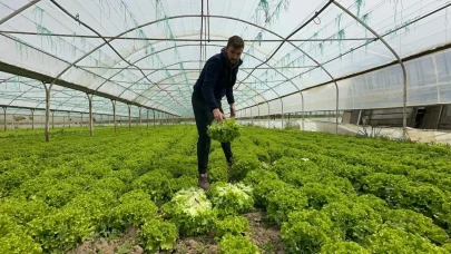 Tarladan sevindirici haber: Ürün fiyatları 35 TL'ye geriledi!