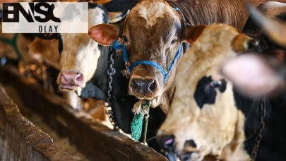 Kurban Kesmek İslam'da Kimlere Farzdır? Kimler Kurban Kesmekle Yükümlüdür?