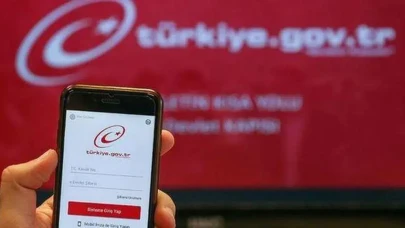 e-Devlet'te Yaşanan Erişim Sorunlarına Ne Sebep Oluyor?
