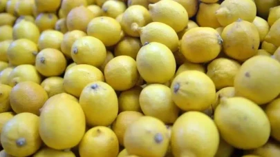 Limon seçiminin sırrı renginde değilmiş! En lezzetli limonun sırrı başka bir özelliğinden geliyormuş...