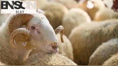Bayram tatili süresi kimleri kapsıyor, özel sektörde çalışanlar iş başında olacak mı, idari izin hangi günlerde geçerli olacak?
