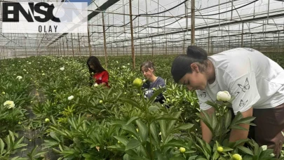 Elmalı'nın eşsiz çiçeği: Değerli taş gibi parlayan bu özel çiçek, 81 ilçesine bereket getiriyor!