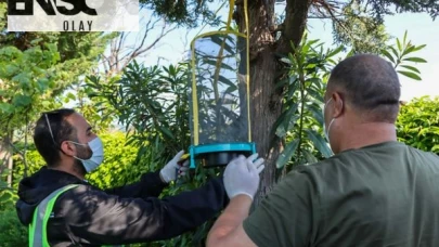 Yalova Belediyesi, Kurban Bayramı öncesinde ilaçlama çalışmalarına hız verdi