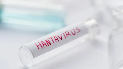 Avrupa'da Hantavirüs Paniği: 5 Ülke Kruvaziyer Yolcularını Tahliye Ediyor