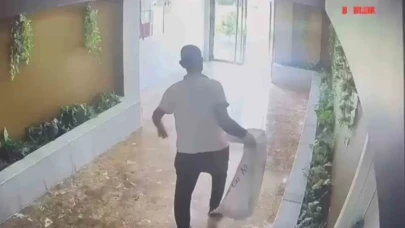 Şanlıurfa'da yaşanan tuhaf olay: Apartman görevlisinin çuvalından çıkanlar hayret verici!