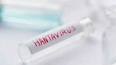 Hantavirüs salgınının boyutları ne olabilir?