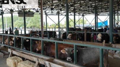 İstanbul Büyükşehir Belediyesi'nden Kurban Bağışı Hisse Bedeli Hakkında Duyuru yapıldı