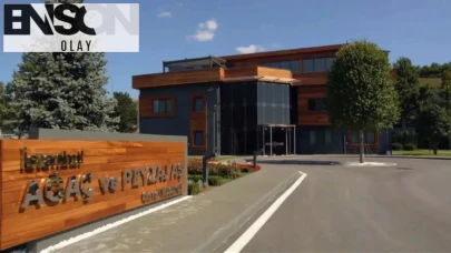 Ünlü şarkıcı Mustafa Sandal, sevgili öğretmeni Ayla Kara için özel bir hatıra ormanı kuruyor