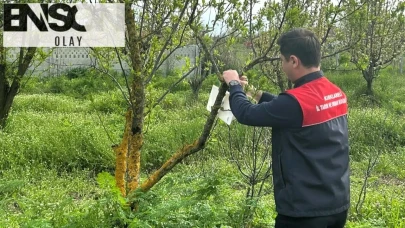 Bahçelerde doğal koruma: Zararlılara karşı feromonlar kullanılacak