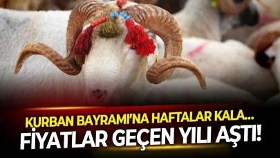 Kurban Bayramı yaklaşırken fiyatlar rekor seviyeye ulaştı!