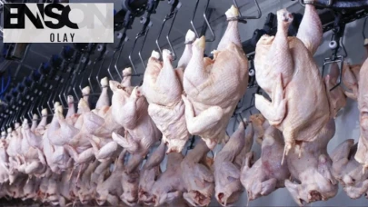 Tavuk eti ve yumurta üretiminde mart ayında beklenmedik artış yaşandı