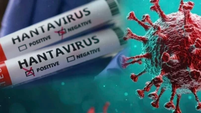 Yeni Bir Tehdit: Hantavirüs Başka Bir Ülkede Ortaya Çıktı! Büyük Bir Salgın Kapıda mı?
