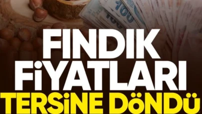 Fındık fiyatları tersine döndü!