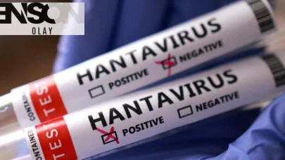 Hantavirüs Türkiye'de hangi ilde, karantina geliyor mu, pandemi yeniden başlayacak mı? SON DAKİKA! Bakanlı...