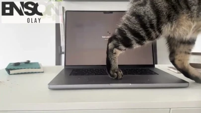 Kedi Sahiplerine Özel Mac Kullanıcıları İçin Yeni ve Etkili Bir Uygulama Sunuluyor