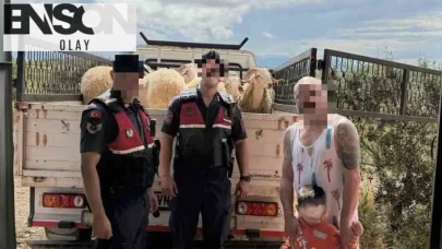 Bayram öncesi büyük şok yaşamıştı: Jandarma operasyonuyla koyunlarına kavuştu