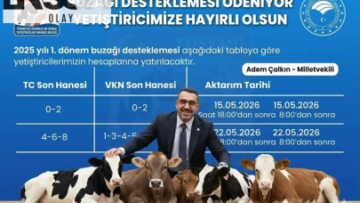 AK Parti Kars Milletvekili Adem Çalkın, hükümetin yeni yatırım paketi ile ilgili önemli açıklamalarda bulundu