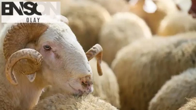 2026 Kurban Bayramı tatili ne zaman bitiyor? Bayram tatili kaç gün?