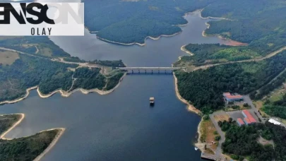 Bahar mevsiminin gelmesiyle birlikte yağışlar arttı ve doğaya canlılık geldi