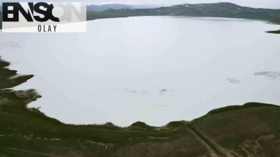 Kurak dönemi sona eren Akgöl, tekrar kuşların gözdesi haline geldi