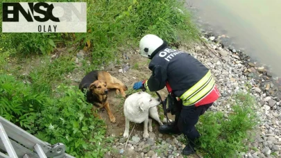 Civil Irmağı'nda Dramatik Anlar: İtfaiye Ekipleri Zamanla Yarıştı