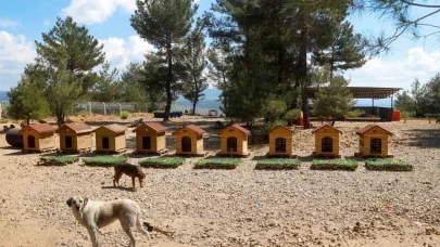 Uşak’ta can dostlar için seferberlik: Başkan Vekili Özkan’dan rehabilitasyon merkezine yakın takip