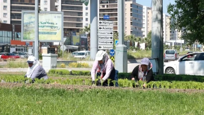 Osmangazi’de mevsim değişti: Sokaklar dev bir botanik bahçesine dönüşüyor